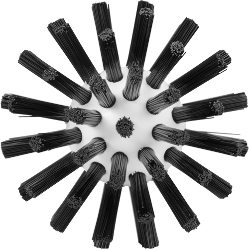 Brosse de nettoyage, Soies Ferme, Longueur de 5-7/10", Noir D. Morneault & Fils