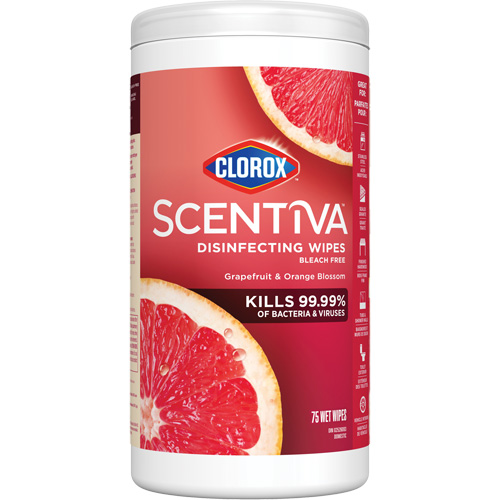 Disinfecting Wipes, 75 Count D. Morneault & Fils