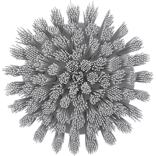 HyDrive Round Drill Brush, Extra Stiff Bristles, 3-1/10" Long, White D. Morneault & Fils