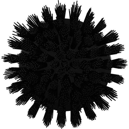 HyDrive Round Drill Brush, Extra Stiff Bristles, 3-1/10" Long, Black D. Morneault & Fils