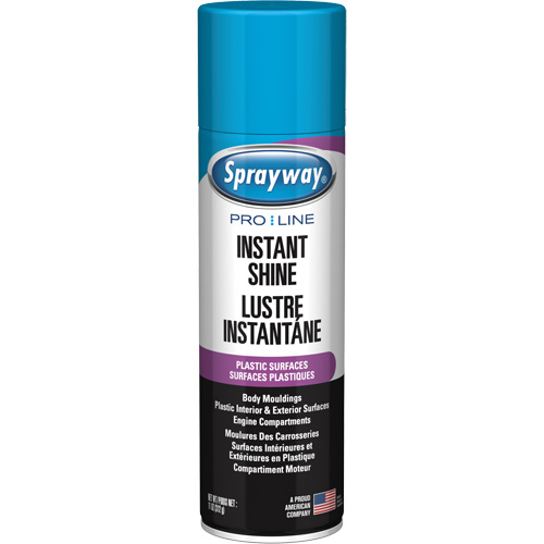 Brillant instantan&eacute; Pro Line pour surfaces en plastique, 11 oz, Canette a&eacute;rosol D. Morneault & Fils