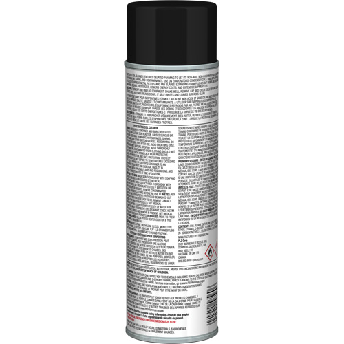 Nettoyant p&eacute;n&eacute;trant pour bobines Pro Line &agrave; action moussante diff&eacute;r&eacute;e, 19 oz., Canette a&eacute;rosol D. Morneault & Fils