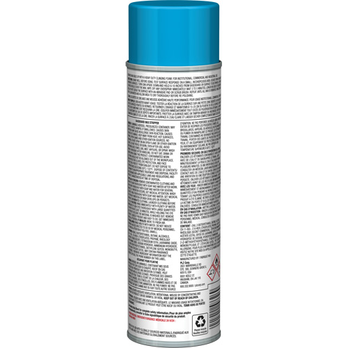 D&eacute;capant pour cire de plinthes avec mousse adh&eacute;sive, 19 oz., Canette a&eacute;rosol D. Morneault & Fils