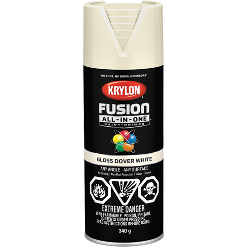 Fusion All-In-One Spray Paint, Dover White, Gloss, 12 oz., Aerosol Can D. Morneault & Fils