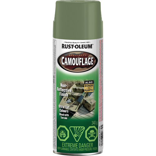 Peinture de camouflage Sp&eacute;cialit&eacute;, Canette a&eacute;rosol, Brun terre D. Morneault & Fils