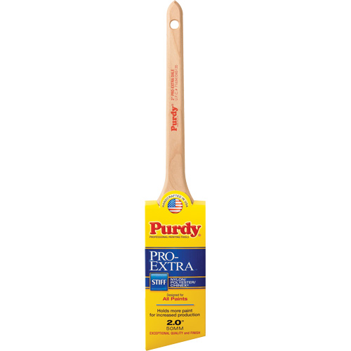 Pinceau Pro-Extra Dale, Mat&eacute;riau m&eacute;lang&eacute;, Manche Bois, Largeur de 2" D. Morneault & Fils