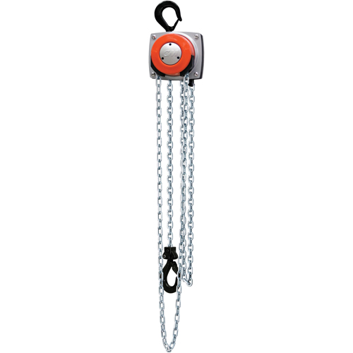 Hurricane 360° Chain Hoist, 10' Lift, 1000 lbs. (0.5 tons) Capacity, Steel Chain D. Morneault & Fils