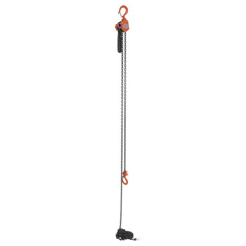 Mini Lever Hoist, 15' Lift, 500 lbs. (0.25 tons) Capacity, Steel Chain D. Morneault & Fils