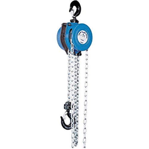Tralift&reg; Manual Chain Hoist, 10' Lift, 4000 lbs. (2 tons) Capacity, Grade 80 Chain D. Morneault & Fils