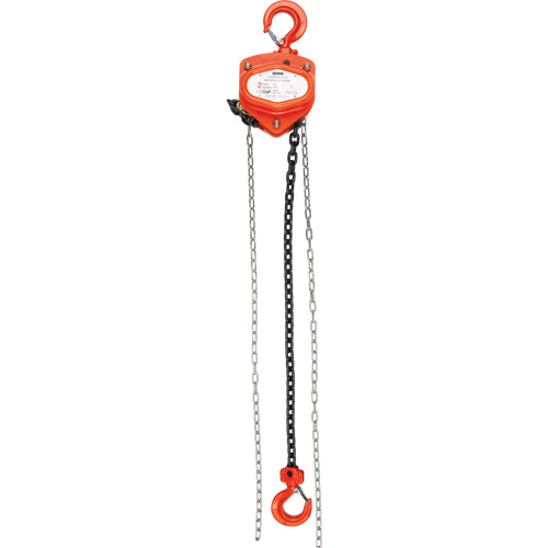 Chain Hoist, 10' Lift, 1000 lbs. (0.45 tons) Capacity, Alloy Steel Chain D. Morneault & Fils