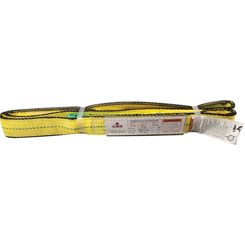 &eacute;lingue en sangle de polyester, Pli Double, Oeillets renvers&eacute;s, Type 4, 2" la x 8' lo, Capacit&eacute; verticale 6400 lb D. Morneault & Fils