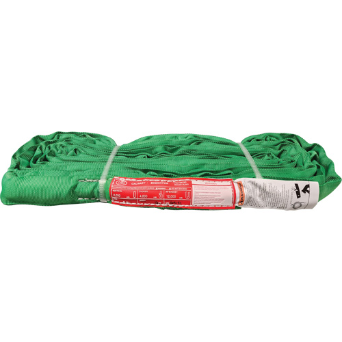 &eacute;lingue ronde en polyester, Vert, 12' lo, 6000 lb Charge verticale D. Morneault & Fils