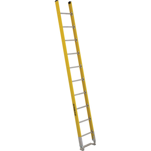 Single Section Straight Ladder - 6100 Series, 10', Fibreglass, 375 lbs., CSA Grade 1AA D. Morneault & Fils