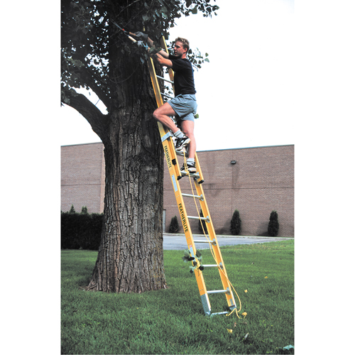 Industrial Heavy-Duty Extension Ladders (6200 Series), 375 lbs. Cap., 13' H, Grade 1AA D. Morneault & Fils