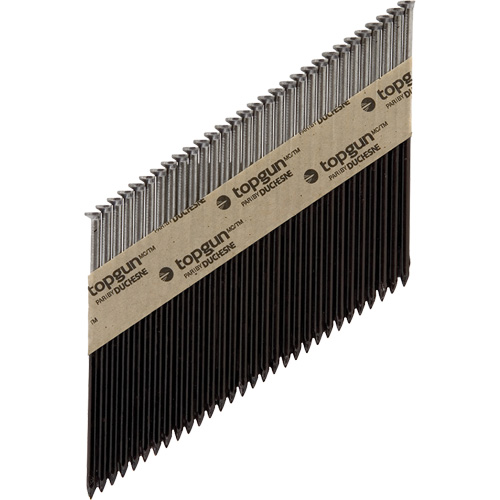 Collated Nails D. Morneault & Fils