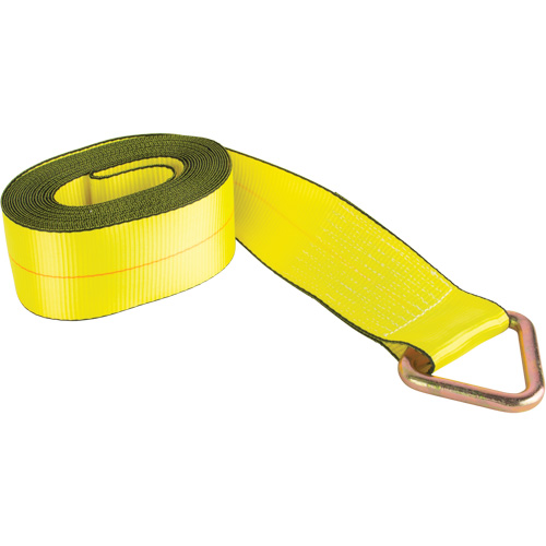 Logistic Strap, Delta Ring, 4" W x 30' L, 5400 lbs. (2449 kg) Working Load Limit D. Morneault & Fils