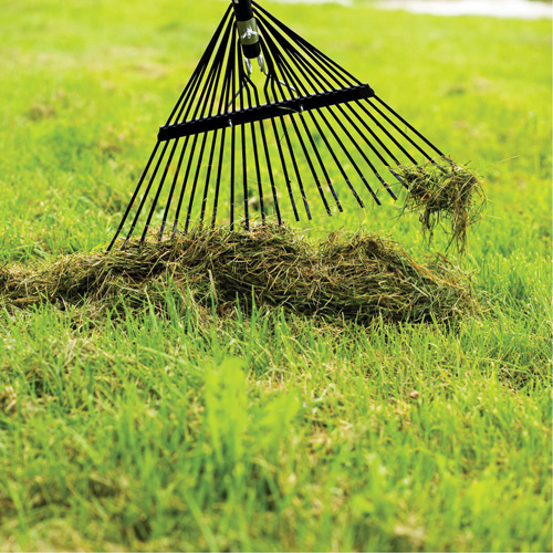Lawn Rake, 24 Tines, Hardwood Handle, Steel Blade D. Morneault & Fils