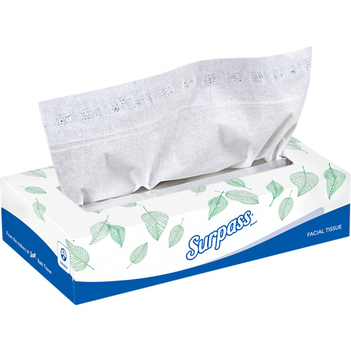 Mouchoirs Surpass, 2 pli, 8,3" lo x 7,8" la, 100 feuilles/boîte D. Morneault & Fils