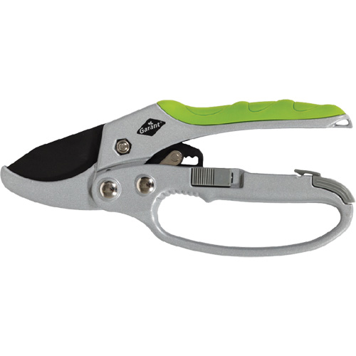 Pruners D. Morneault & Fils