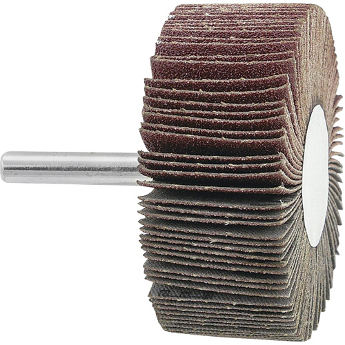 Disque &agrave; lamelles mont&eacute;, Grain 120, 2-1/2" x 1" x 1/4" D. Morneault & Fils