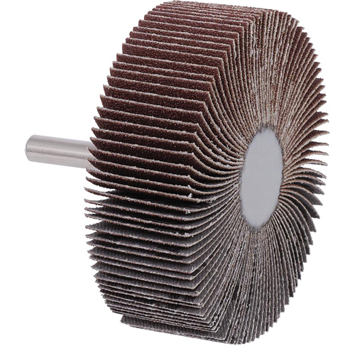 Disque &agrave; lamelles mont&eacute; sur mandrin, Grain A120, 3" x 1" x 1/4" D. Morneault & Fils