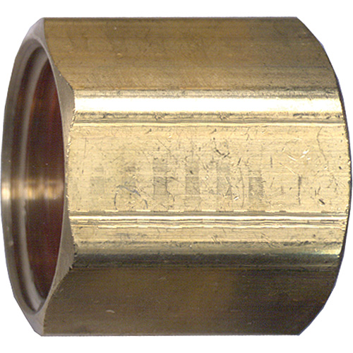 Pipe Coupling, Brass, 3/4' D. Morneault & Fils