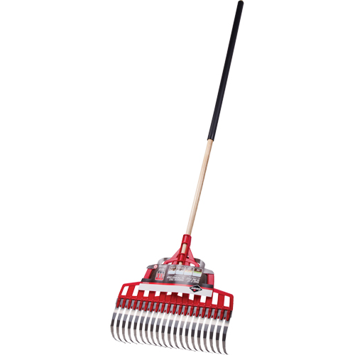 Multi-Purpose Lawn Rake, 20" Blade, 20 Tines, Hardwood Handle, Steel Blade D. Morneault & Fils