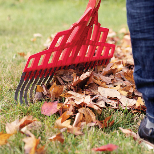Multi-Purpose Lawn Rake, 20" Blade, 20 Tines, Hardwood Handle, Steel Blade D. Morneault & Fils