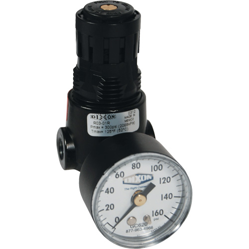 Wilkerson Miniature Regulator R04, 1/4" NPT, 300 psi Max. PSI, Standard D. Morneault & Fils
