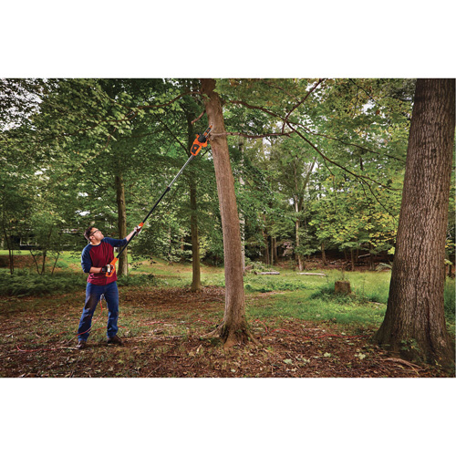 &eacute;lagueuse sur perche 2-en-1 D. Morneault & Fils