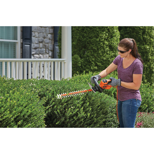 SawBlade Hedge Trimmer, 22", Electric D. Morneault & Fils