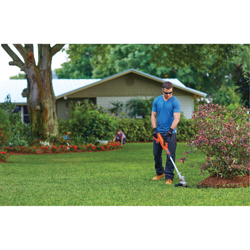 Max* Cordless String Trimmer/Edger Kit, 12", Battery Powered, 20 V D. Morneault & Fils