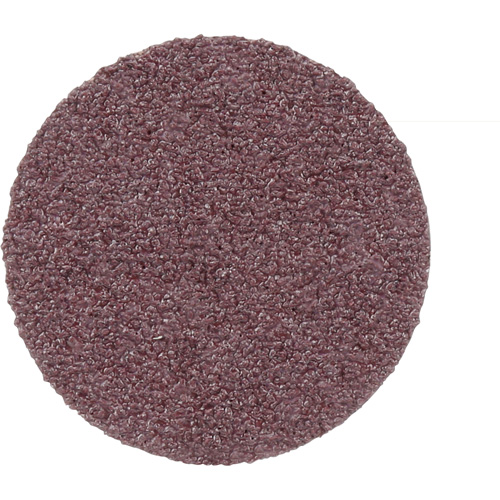 348D PSA Cloth Disc, 20" Dia., 50 Grit, Aluminum Oxide D. Morneault & Fils