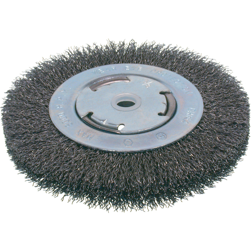 Economy Crimped Wire Wheel Brushes - Medium Face, 8" Dia., 0.008 Fill, 2" Arbor D. Morneault & Fils