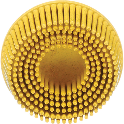 Meule en soie Roloc Scotch-Brite, C&eacute;ramique, Grain Moyen, 2" dia. D. Morneault & Fils