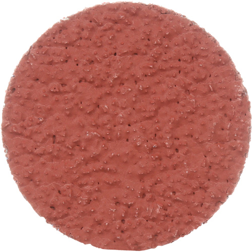Cubitron II Roloc Durable Edge Disc, 2" Dia., 36+ Grit, Ceramic D. Morneault & Fils