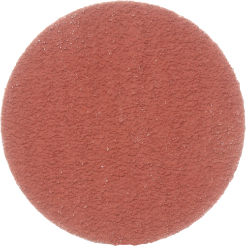 Cubitron II Roloc Durable Edge Disc, 2" Dia., 80+ Grit, Ceramic D. Morneault & Fils