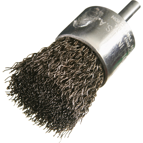 Crimped Wire End Brushes, 1", 0.005" Fill, 1/4" Shank D. Morneault & Fils