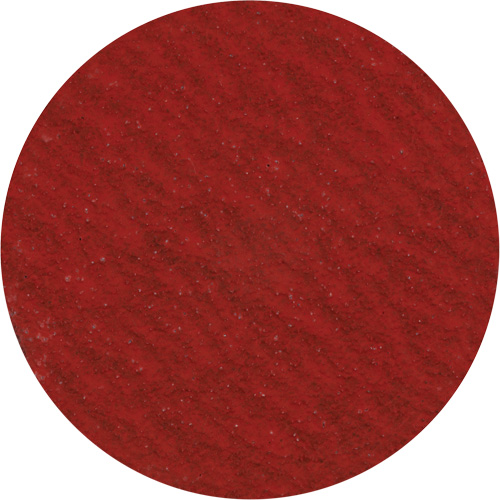 Disque de ponçage 3" &agrave; support verrouillable, 3" dia., Grain 36, C&eacute;ramique D. Morneault & Fils