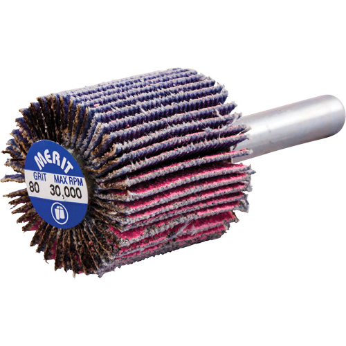 Mini-meule &agrave; lamelles mont&eacute;e sur tige, C&eacute;ramique d'alumine, Grain 80, 1" x 1" x 1/4" D. Morneault & Fils