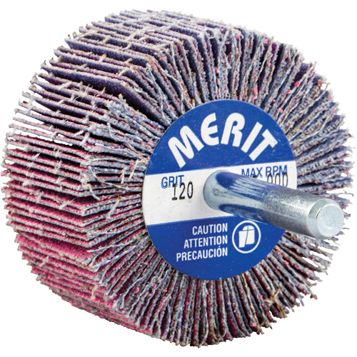 Mini-meule &agrave; lamelles mont&eacute;e sur tige, C&eacute;ramique d'alumine, Grain 120, 2" x 1" x 1/4" D. Morneault & Fils