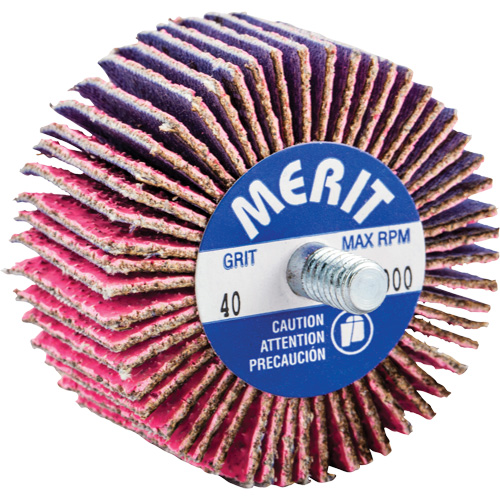 Threaded Mini Flap Wheel, Ceramic Alumina, 40 Grit, 2" x 1" x 1/4"-20 D. Morneault & Fils