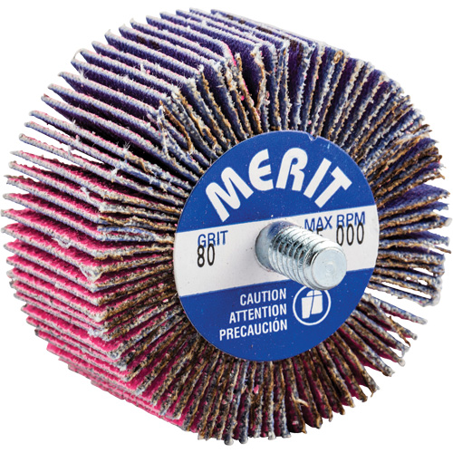 Threaded Mini Flap Wheel, Ceramic Alumina, 80 Grit, 2" x 1" x 1/4"-20 D. Morneault & Fils