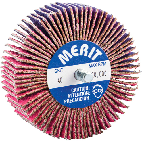 Mini-meule &agrave; lamelles filet&eacute;es, C&eacute;ramique d'alumine, Grain 40, 3" x 1" x 1/4"-20 D. Morneault & Fils