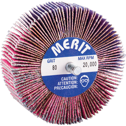 Mini-meule &agrave; lamelles filet&eacute;es, C&eacute;ramique d'alumine, Grain 80, 3" x 1" x 1/4"-20 D. Morneault & Fils