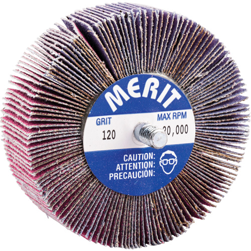 Mini-meule &agrave; lamelles filet&eacute;es, C&eacute;ramique d'alumine, Grain 120, 3" x 1" x 1/4"-20 D. Morneault & Fils