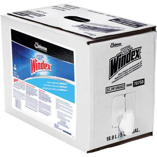Windex&reg; Glass Cleaner with Ammonia-D&reg;, 5 gal., Bag D. Morneault & Fils