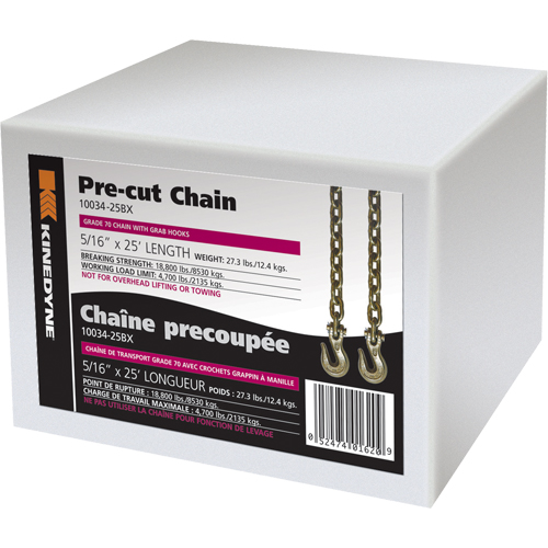 Chaînes D. Morneault & Fils