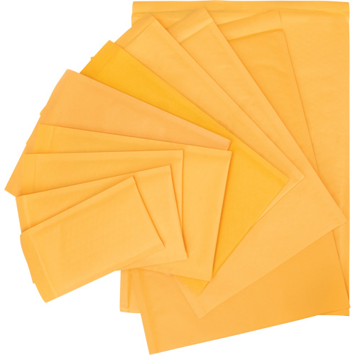 Enveloppes postales coussin&eacute;es, Kraft, 6" la x 10" lo D. Morneault & Fils