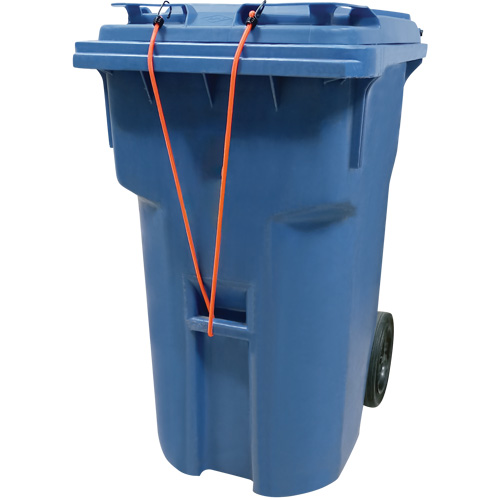 Sangles d'arrimage &eacute;lastiques, 18" D. Morneault & Fils